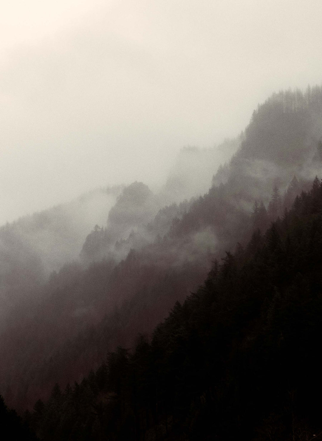 a foggy mountain range with trees