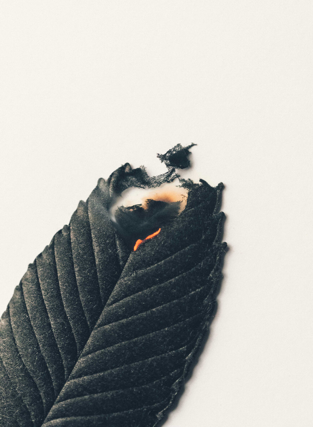 a black feather with a hole in it