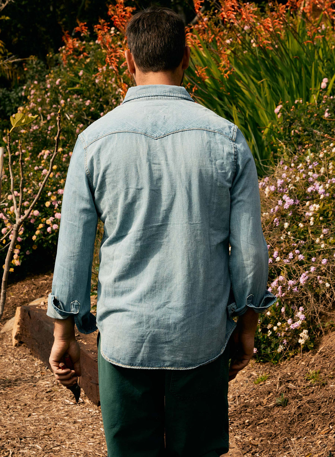 a man standing in a garden