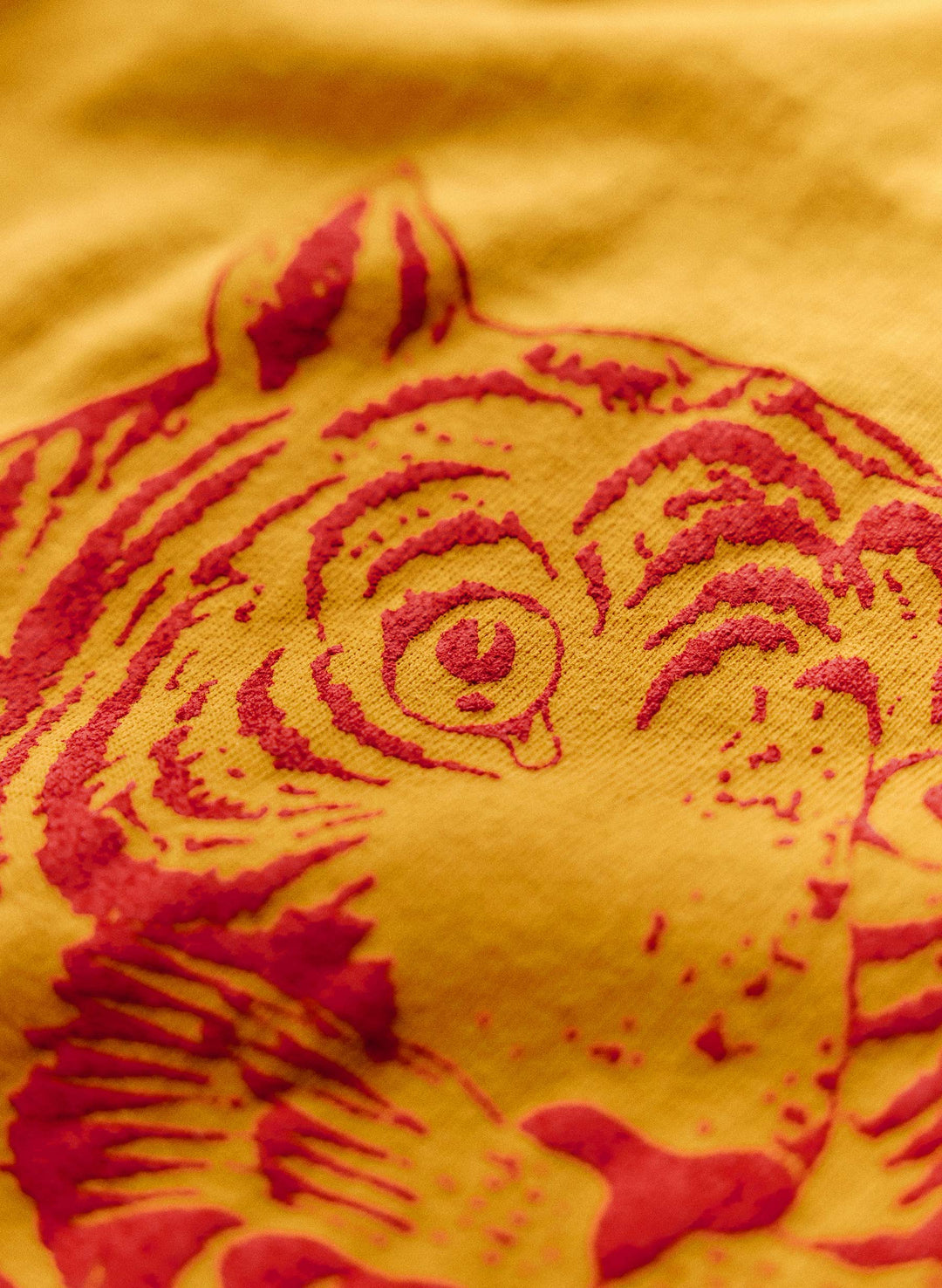 a close up of a tiger face