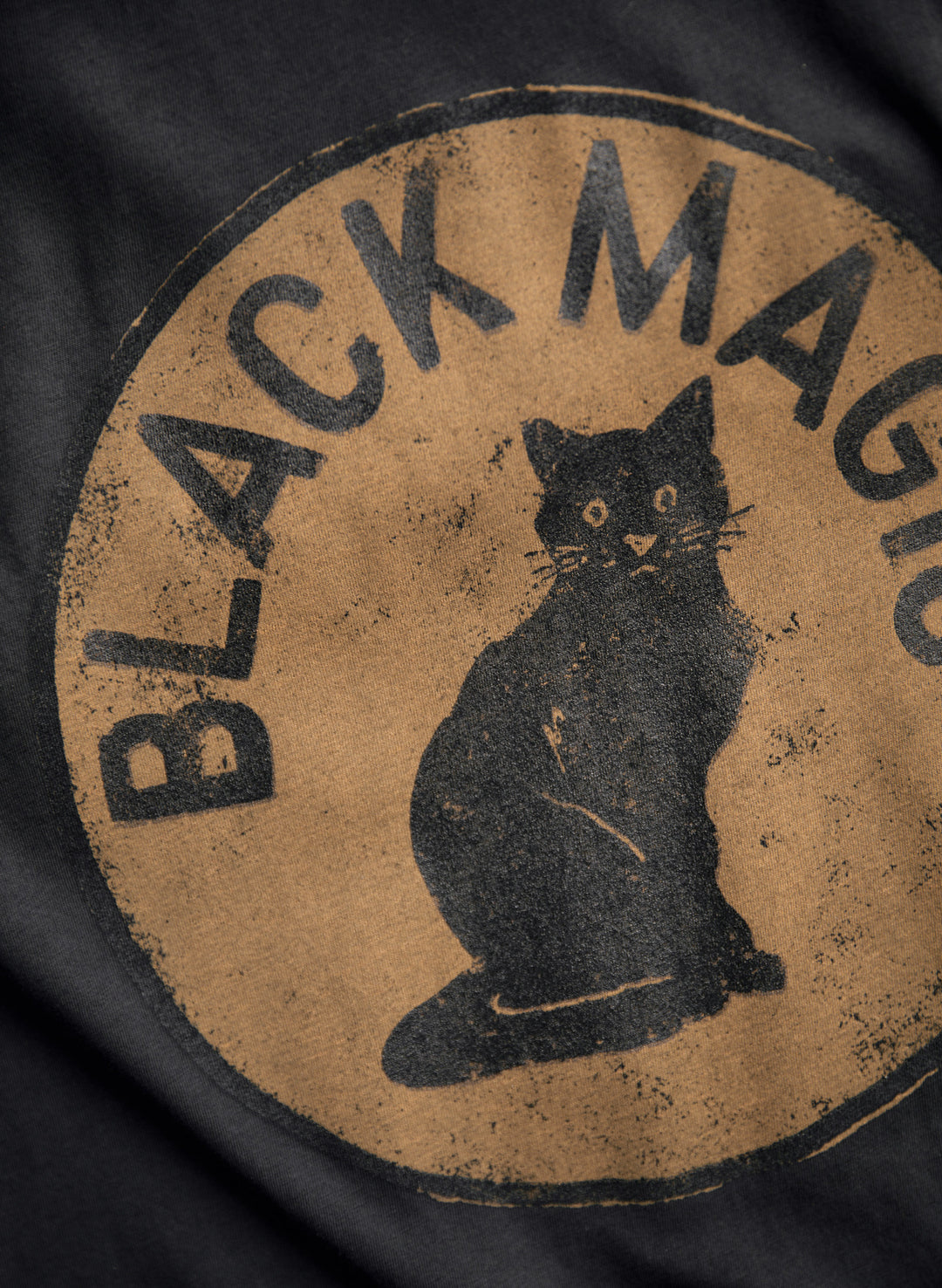 a black cat on a black fabric