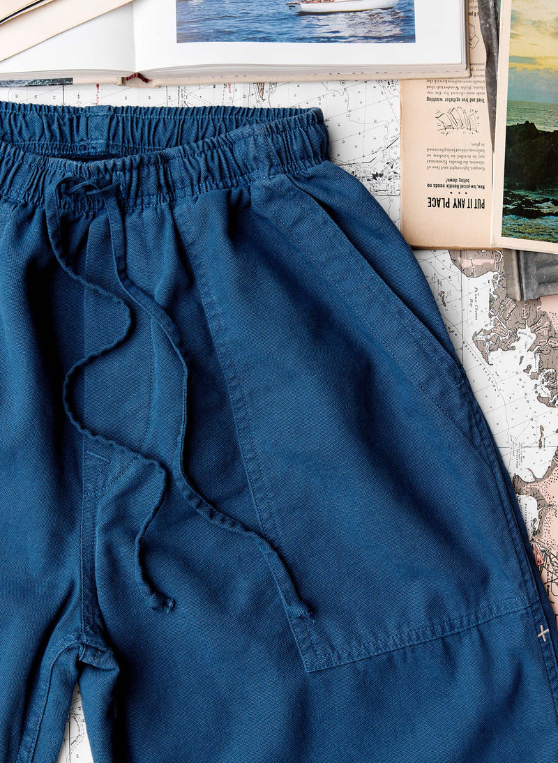 the ventura chore pant in blue