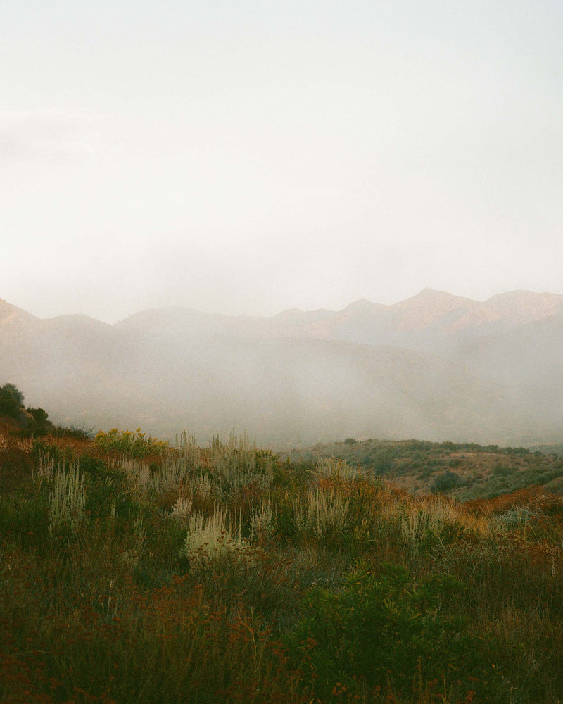 earl in red mesa