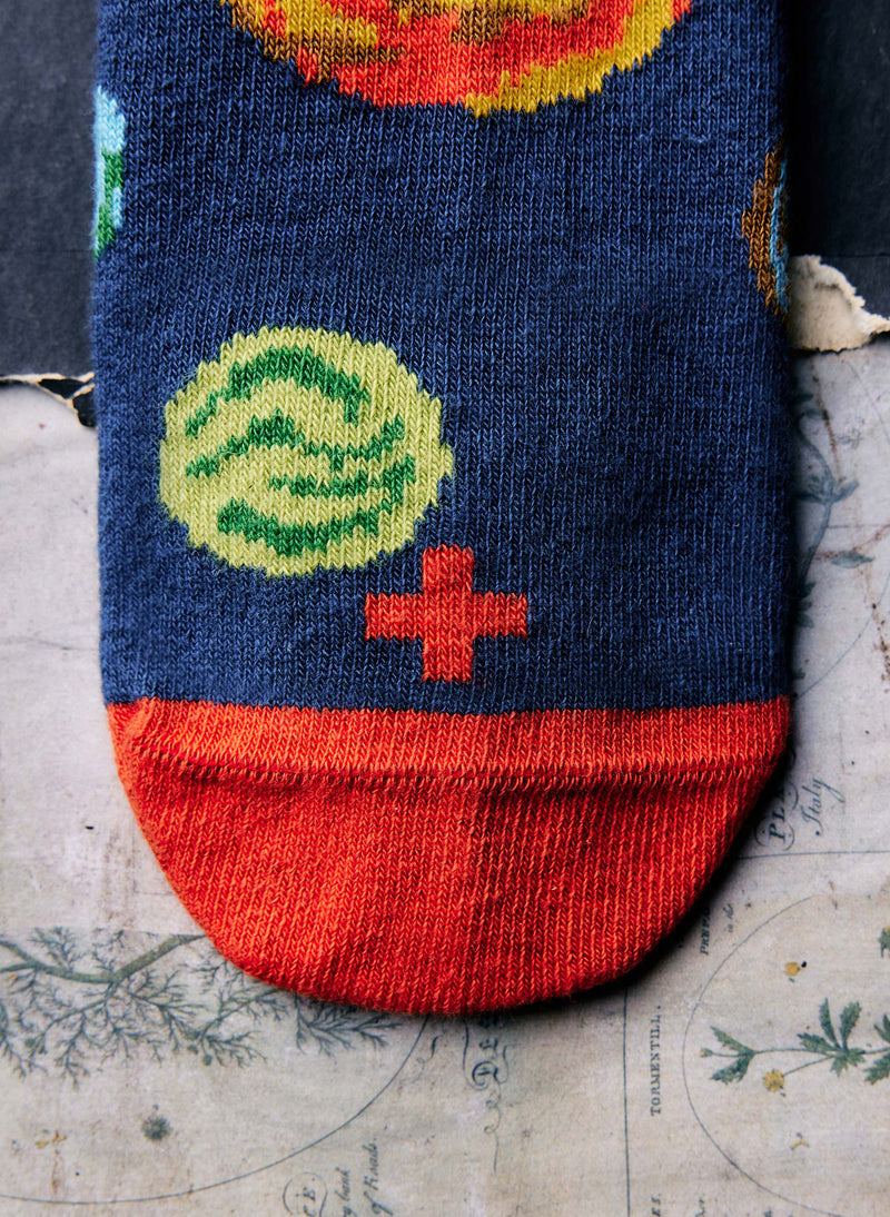 the "you are here" sock - Model