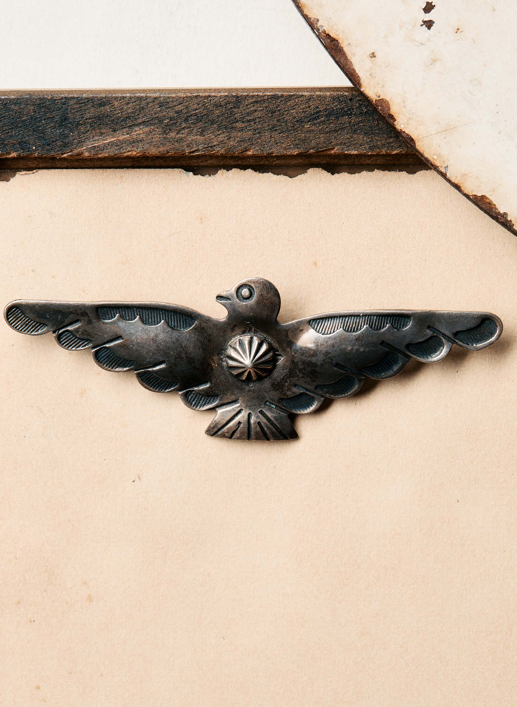 Bird, Beak, Feather, Headgear, Font, Wing, Wood, Bird of prey, Pattern, Tree