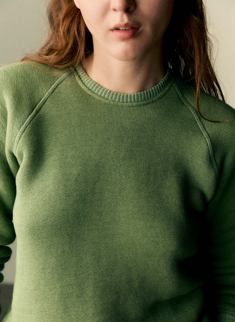 lana raglan sweatshirt in sage