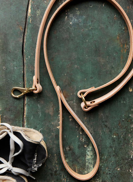 x i+w dog leash