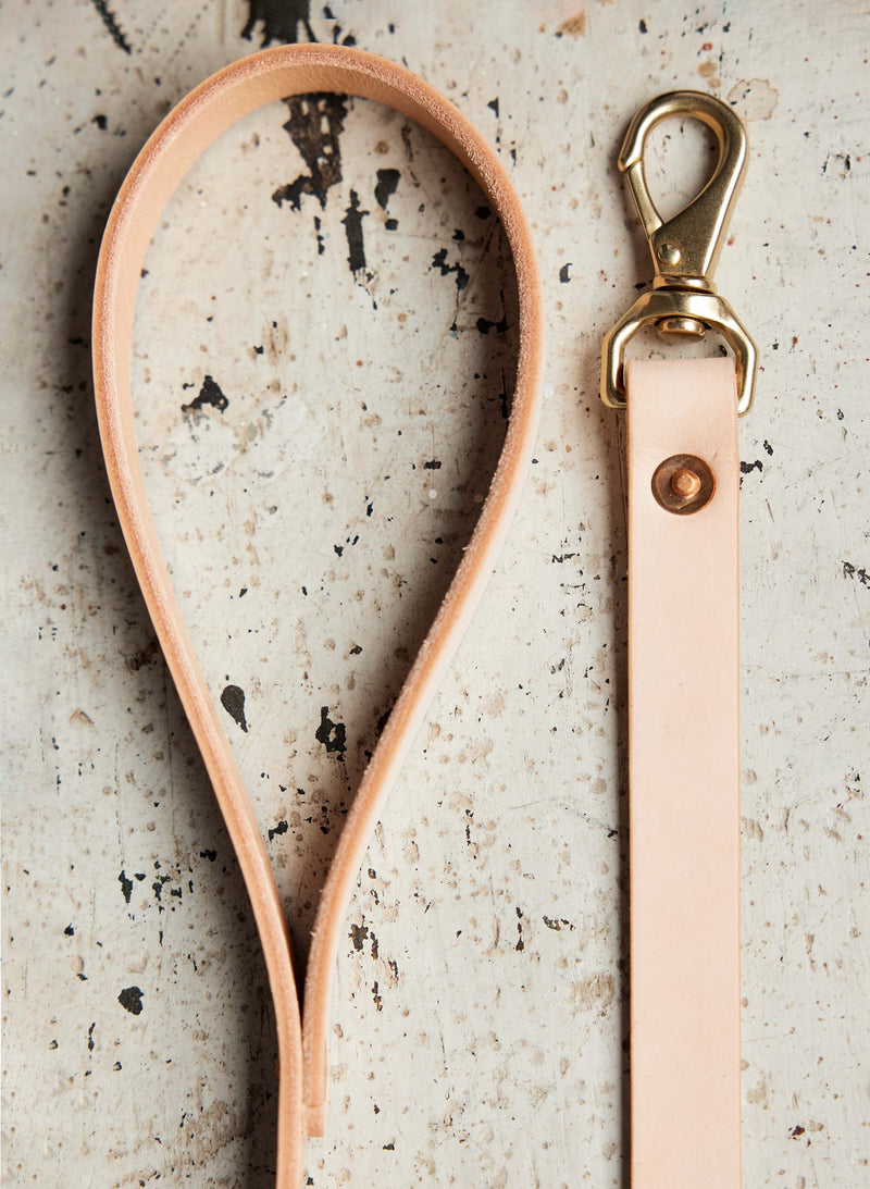 emil erwin x i+w dog leash