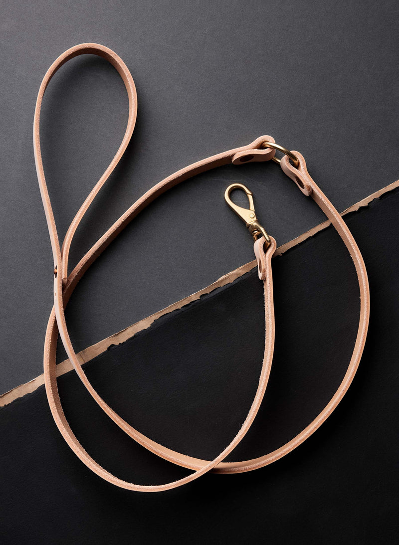 emil erwin x i+w dog leash