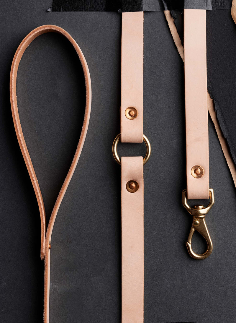 emil erwin x i+w dog leash