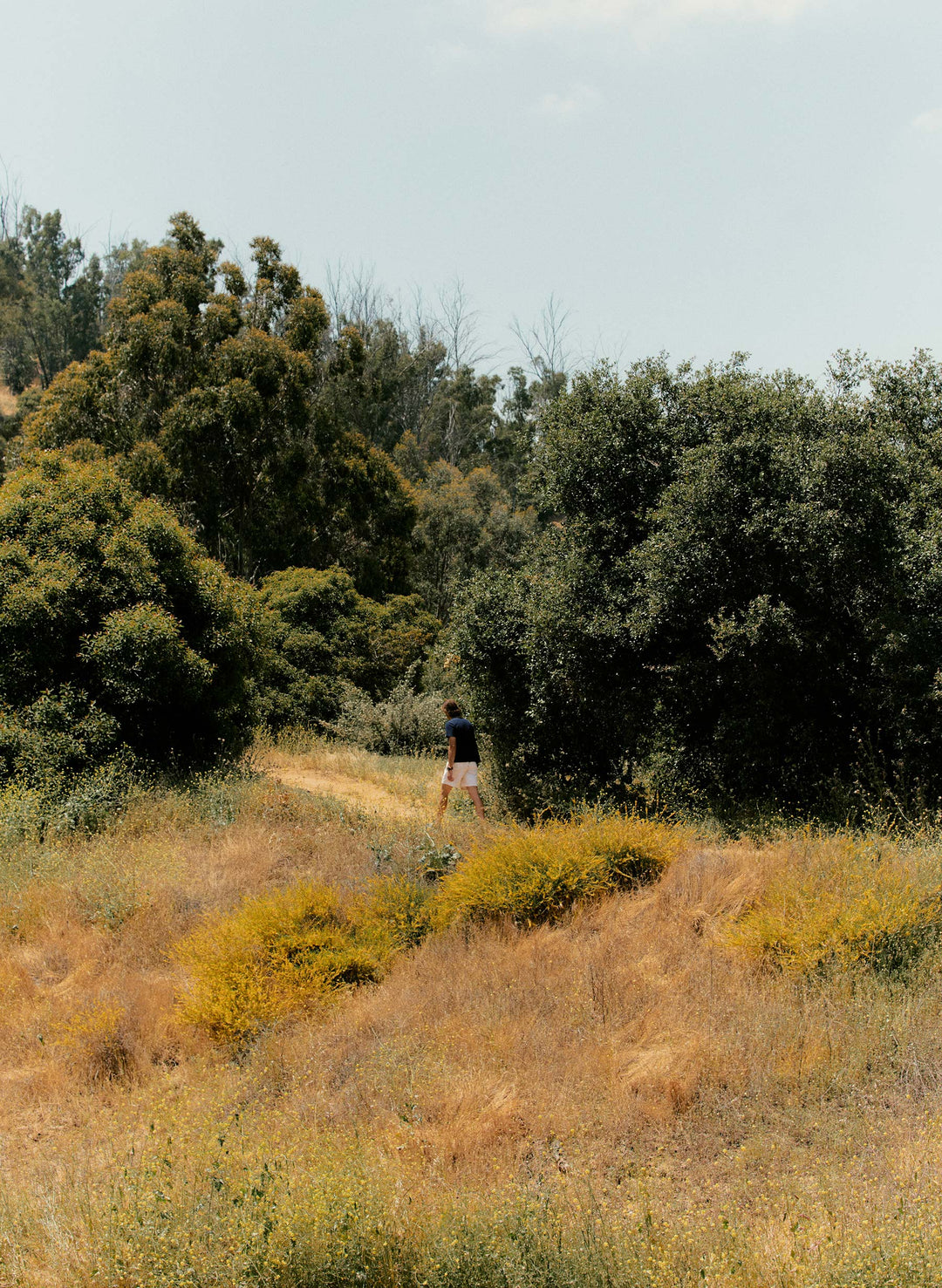 a person walking on a dirt path surrounded by trees