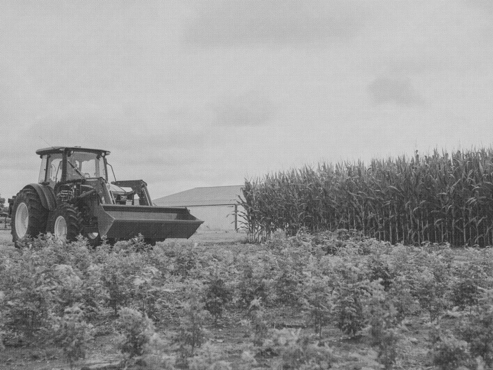 a tractor in a field