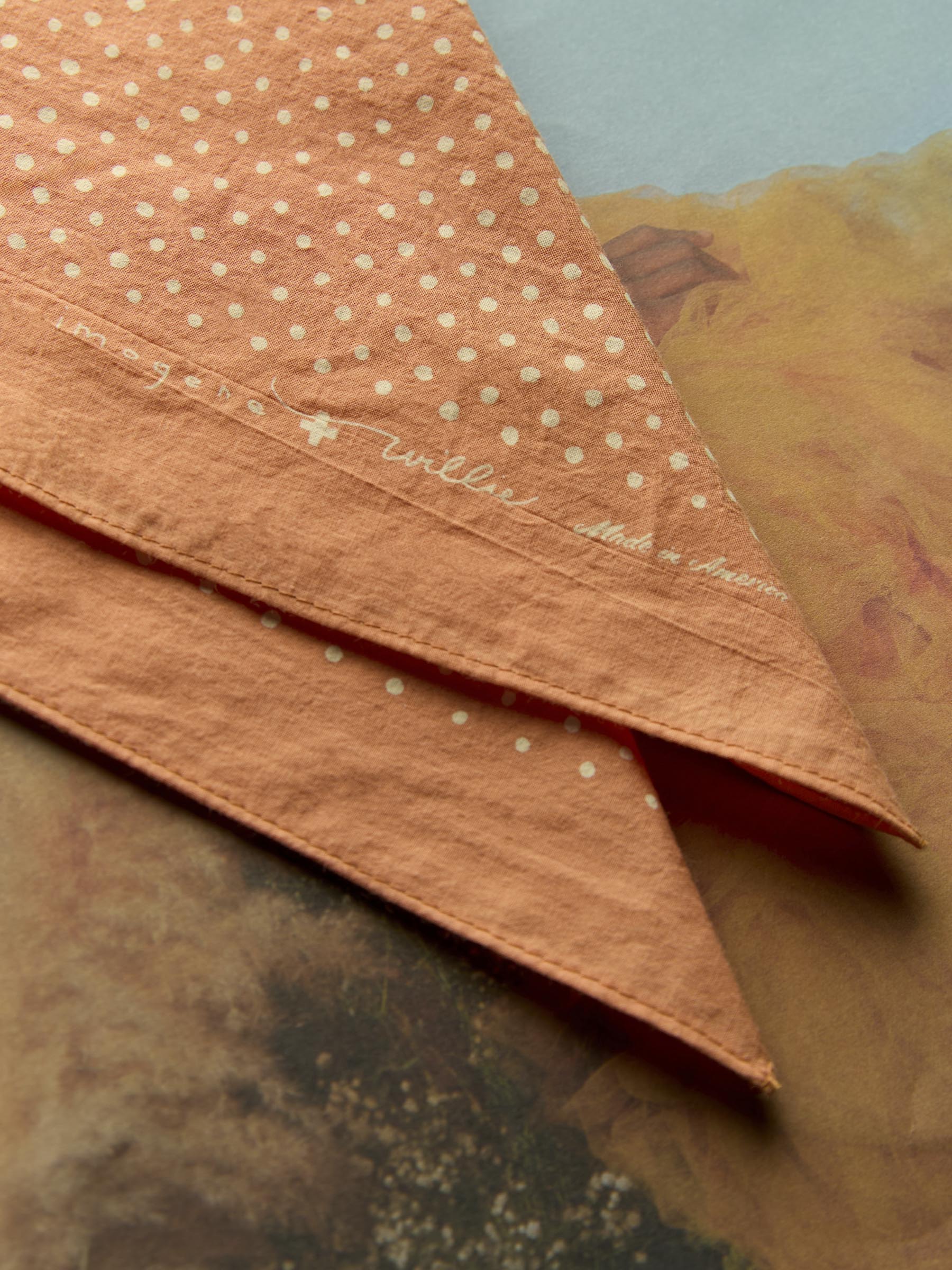 i+w vintage orange bandana – imogene + willie