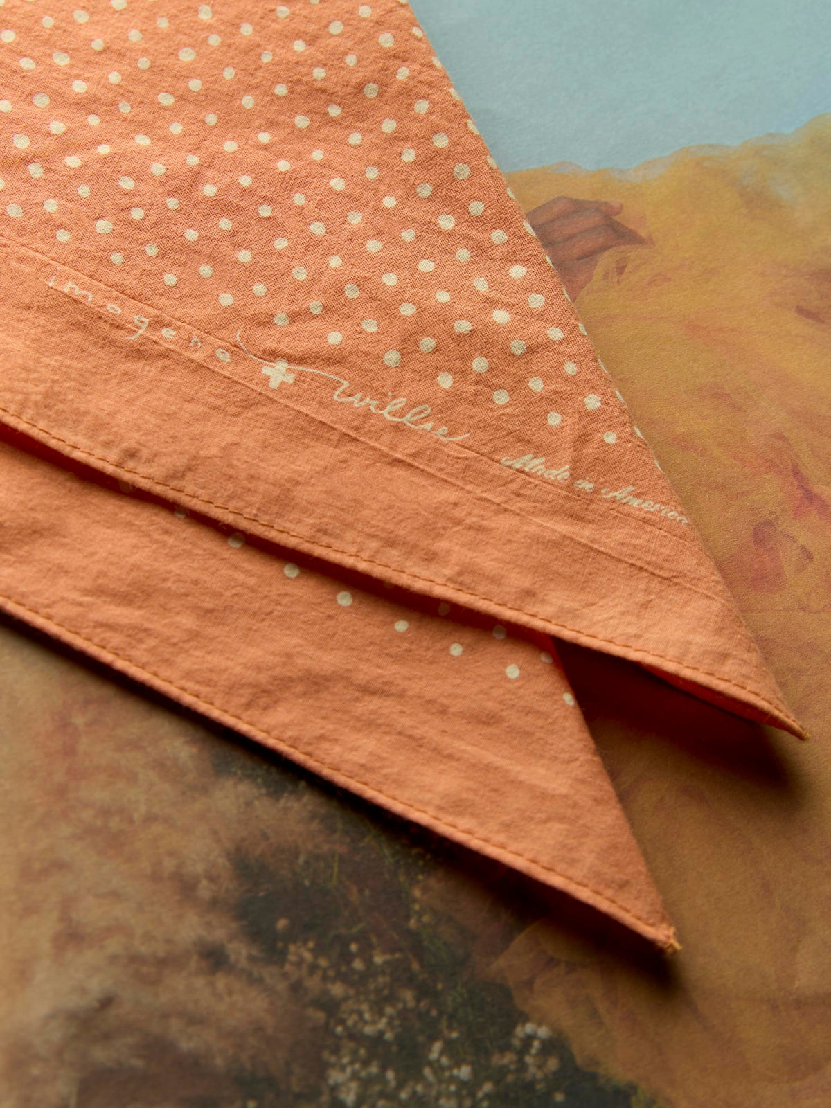 i+w vintage orange bandana