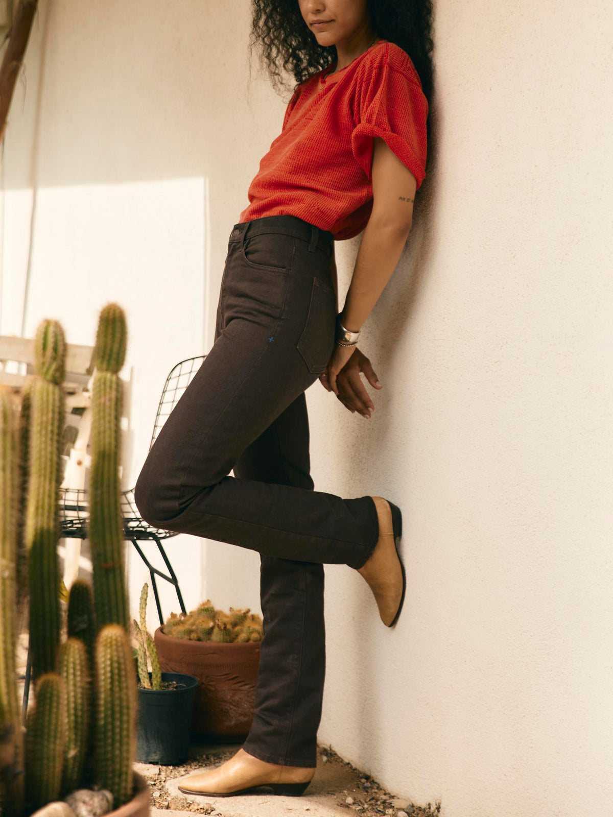 elizabeth brown water dip