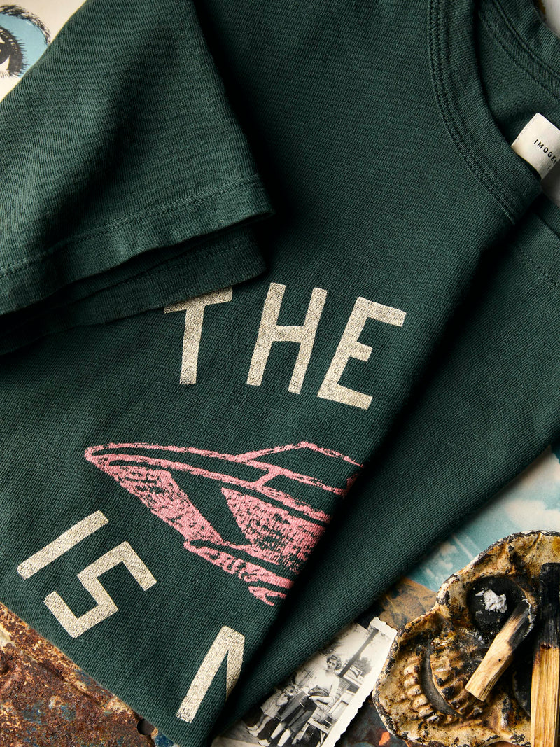 the "end is near" tee in spruce