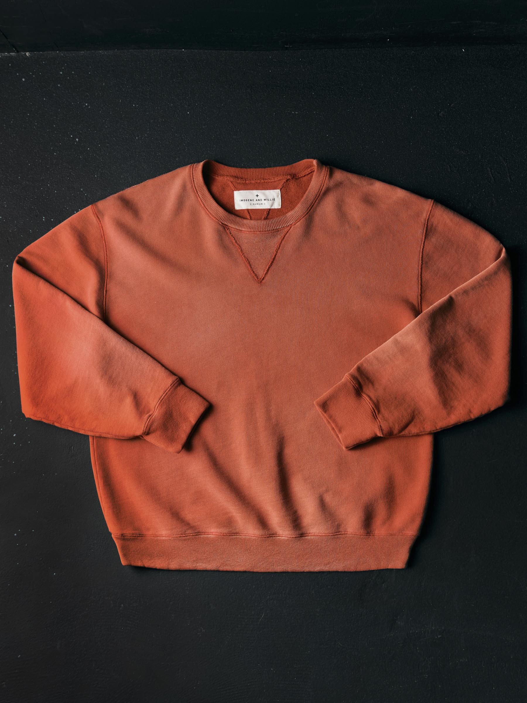 hilts sweatshirt sunfaded red – imogene + willie