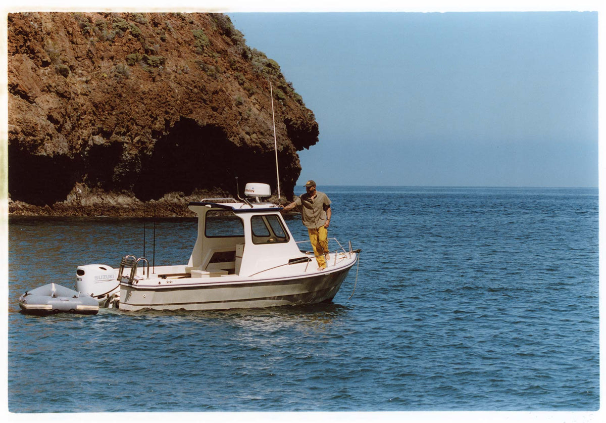 the ventura chore pant in chartreuse