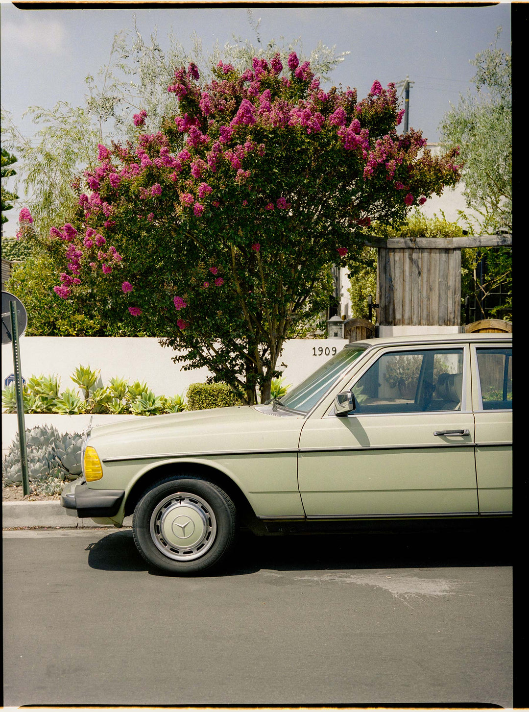 a car parked on the side of a road next to a tree with purple flowers